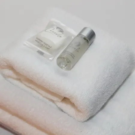 Διαμέρισμα Classic Next To Popolo Square Ρώμη